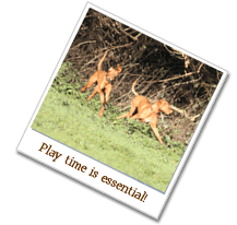 play time is essential