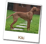Kiki