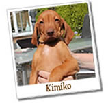 Kimiko